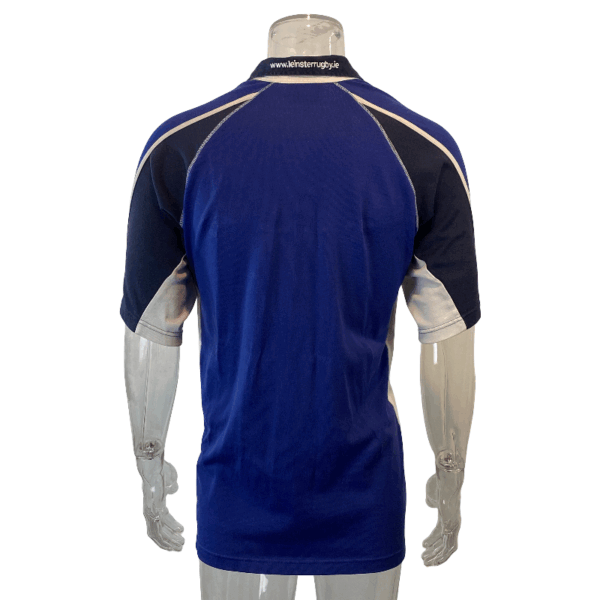 2006 Leinster